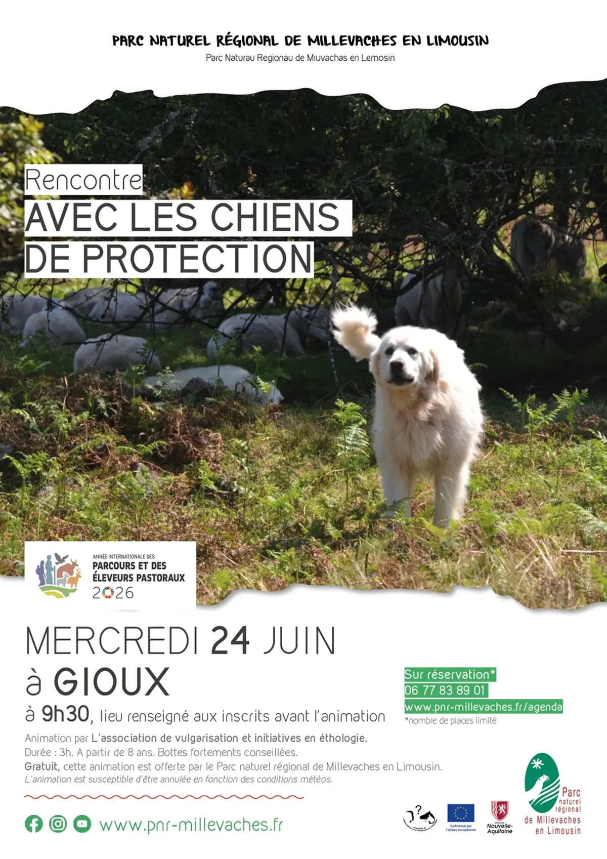 Rencontre avec les chiens de protection