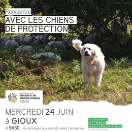 Rencontre avec les chiens de protection