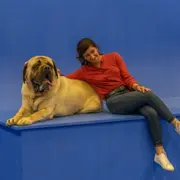 Rencontre avec les chiens stars du cinéma proche d'Orléans