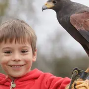 Rencontre avec les oiseaux stars de cinéma proche d'Orléans