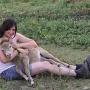 Rencontre avec les poulains miniatures