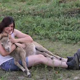 Rencontre avec les poulains miniatures
