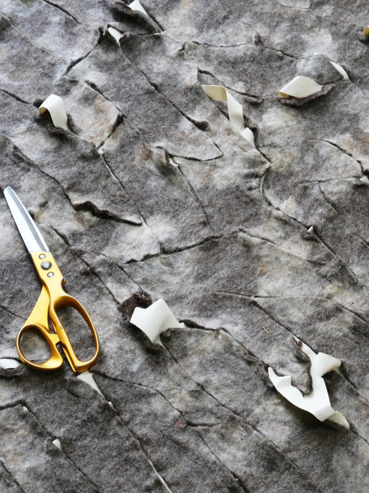 Rencontre avec Louis Lefebvre - Textile en atelier