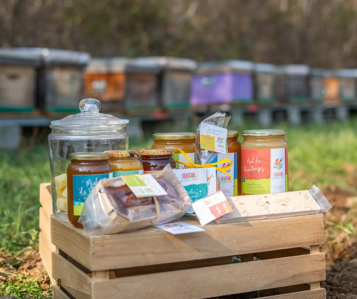 Rencontre avec nos amies les abeilles de Persac