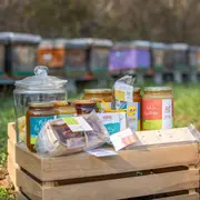 Rencontre avec nos amies les abeilles de Persac