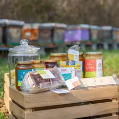Rencontre avec nos amies les abeilles de Persac
