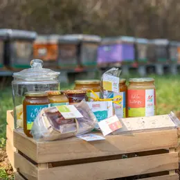 Rencontre avec nos amies les abeilles de Persac