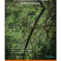 Rencontre avec Sandrine Messéan autour de son exposition photos « Le Marais, conteur de beautés » à Niort
