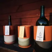 Rencontre avec  Steff & Stuff