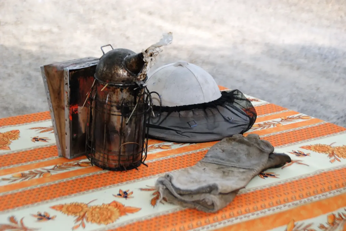 Rencontre avec un apiculteur