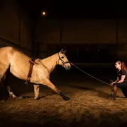 Rencontre avec un artiste équestre
