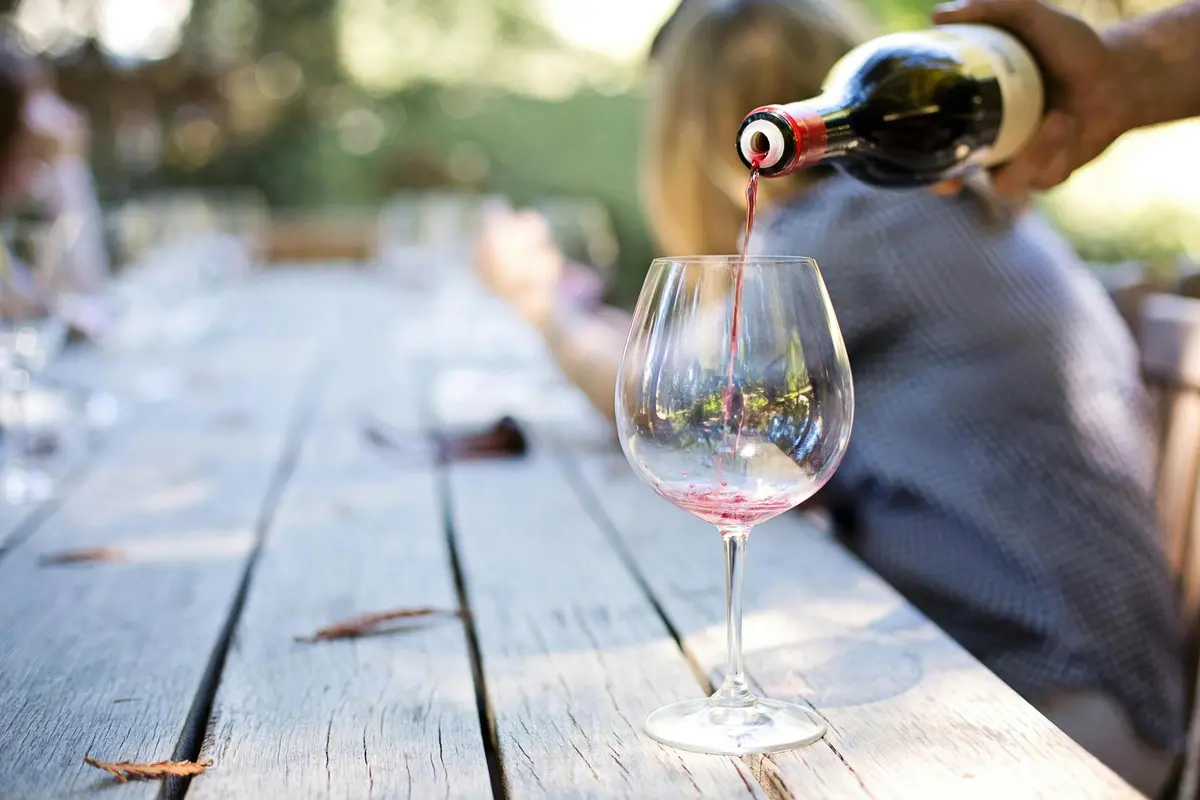 Rencontre Avec Un Vigneron