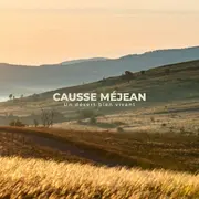 Rencontre d'auteurs de l'association Le Méjean