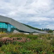 Rencontre-dédicace avec Sophie Marvaud