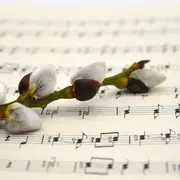 Rencontre des chorales