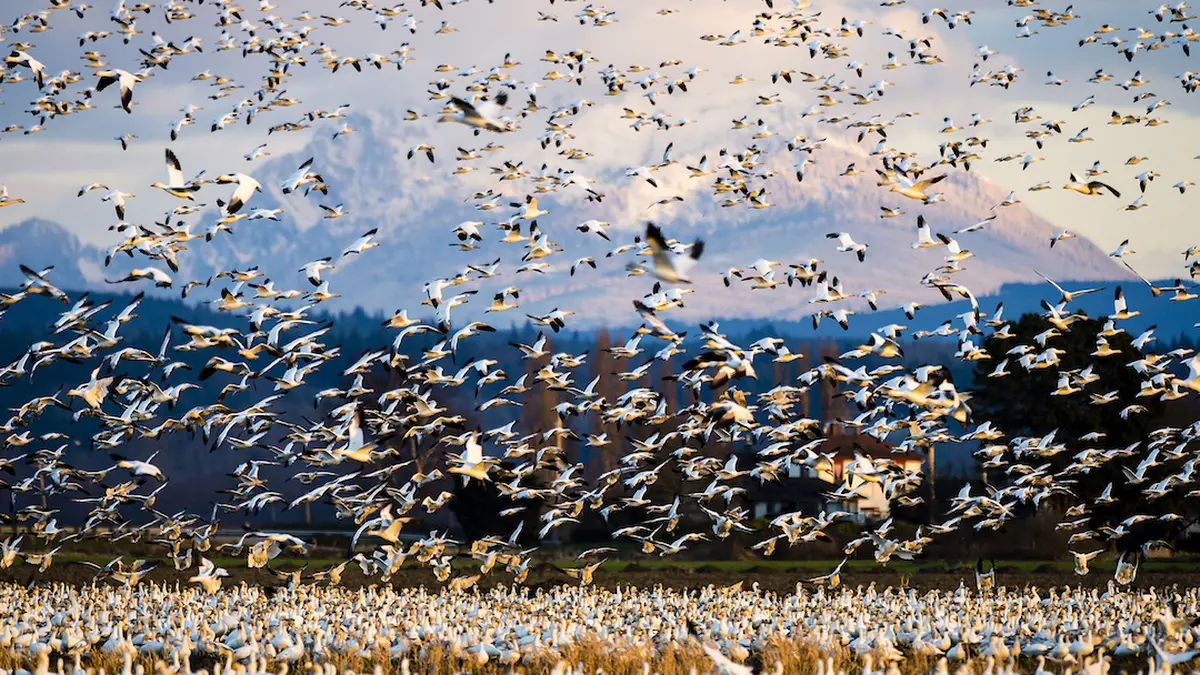 Rencontre en musique autour du film Terra Nostra - Châteaux en fête