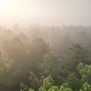 Rencontre et sensibilisation avec la DFCI