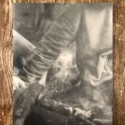 Rencontre Florence Cuschieri