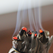 Rencontre - Le goût du sacré