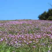 Rencontre : le réchauffement climatique : quelle agriculture pour demain ?