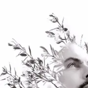 Rencontre lecture avec Thomas Dupray