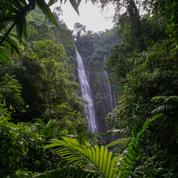 Rencontre : Les sons de la nature