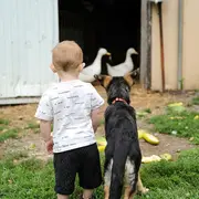 Rencontre Médiatrice Animale