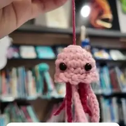 Rencontre pour « Le défi Rose : la Maille de Mer »