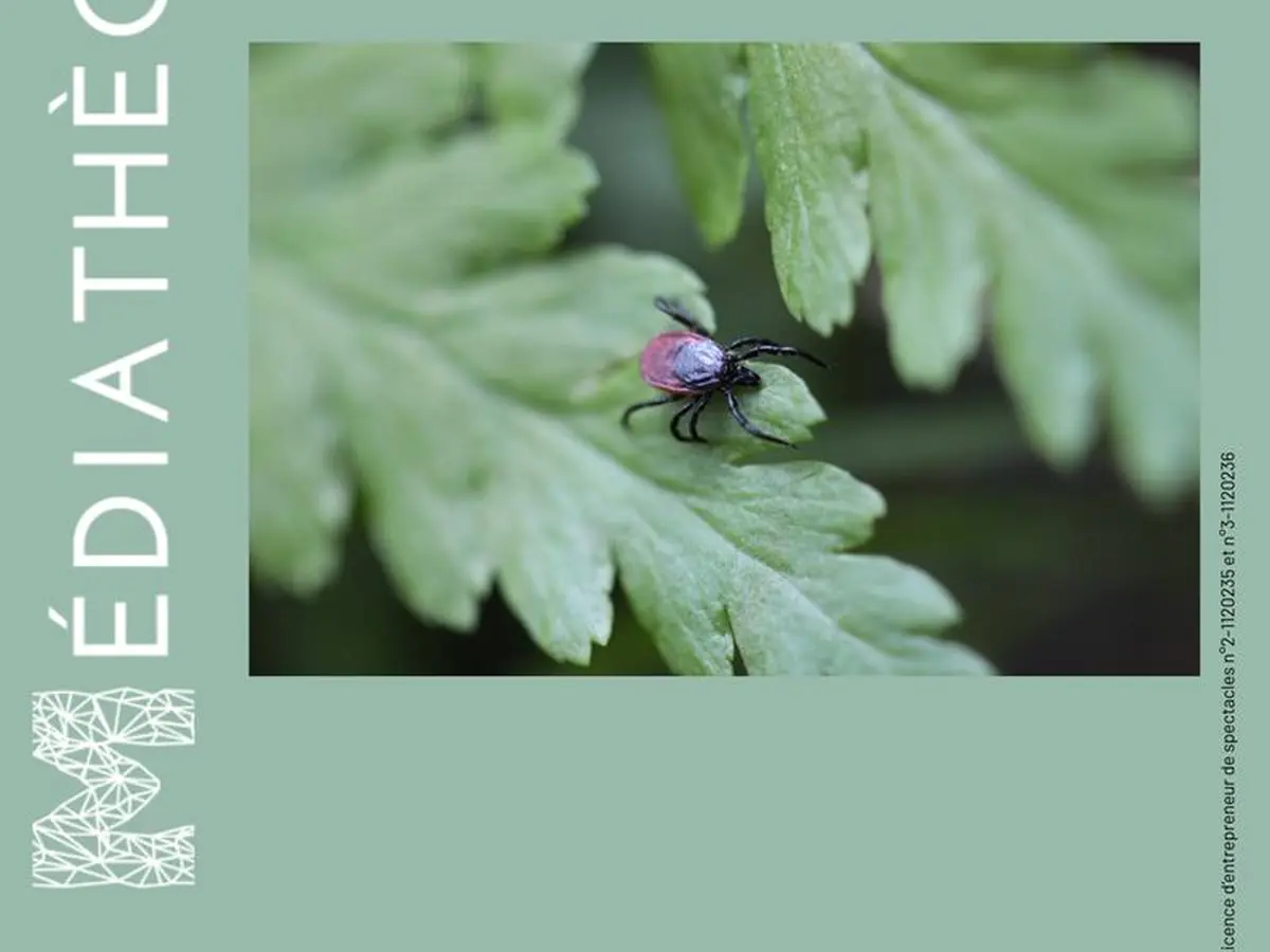 Rencontre : Prévention des piqûres de tiques