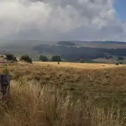Rencontre - Réchauffement climatique : comment la forêt va t-elle s'adapter ?