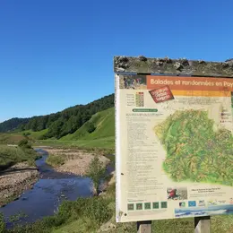 Rencontres avec les bergères d'Iraty