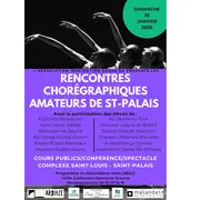 Rencontres chorégraphiques amateurs : cours de danse, conférence dansée et spectacle