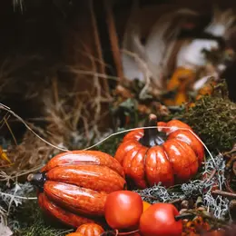 Rencontres d'automne à Lantis
