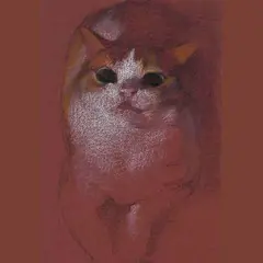 Rencontres de chats - exposition de Yve Li
