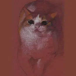 Rencontres de chats - exposition de Yve Li