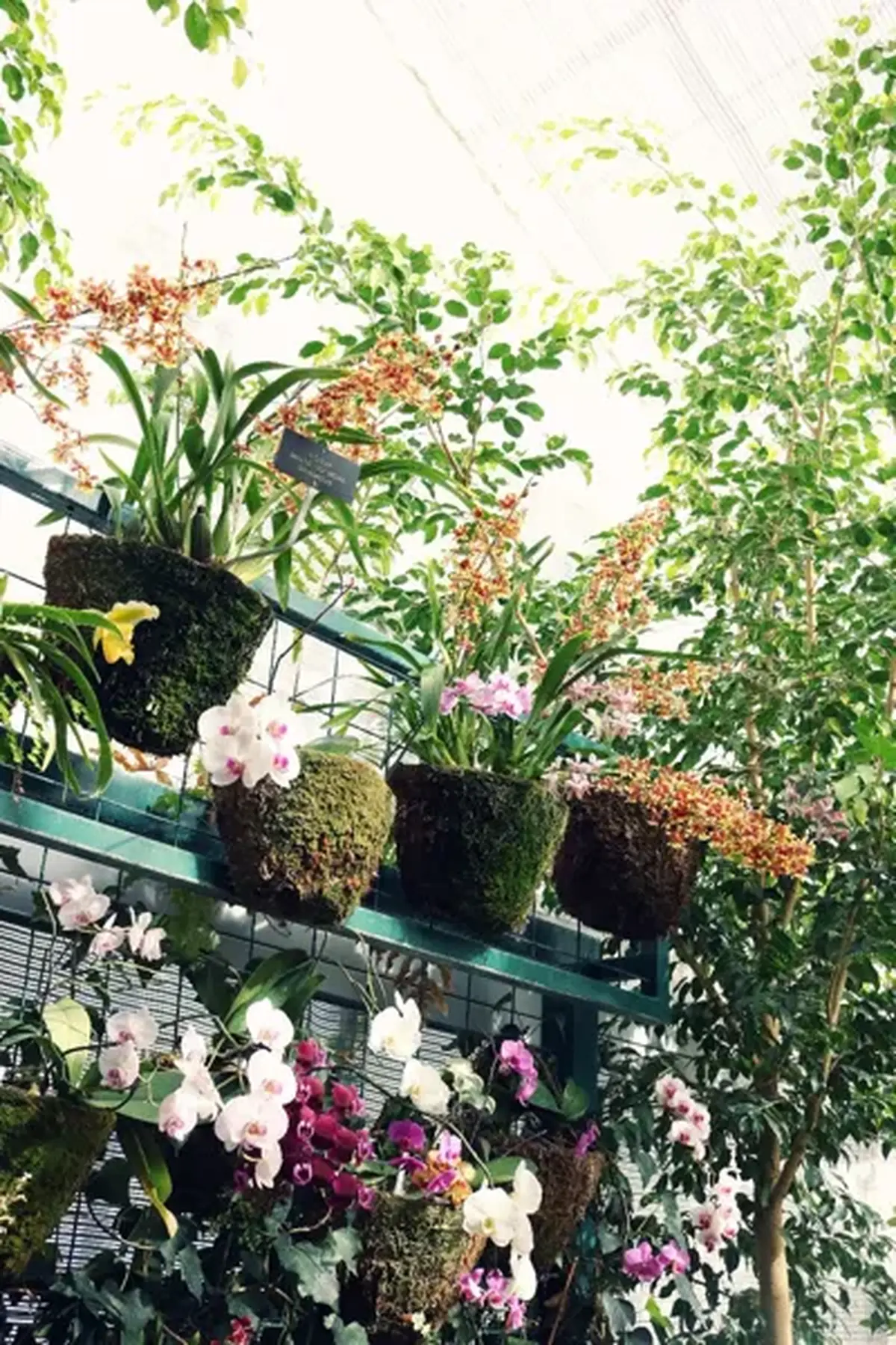 Rencontres en jardins