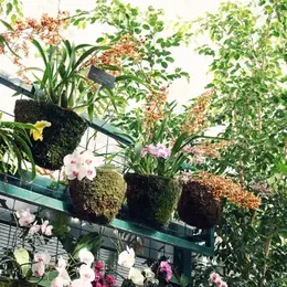 Rencontres en jardins