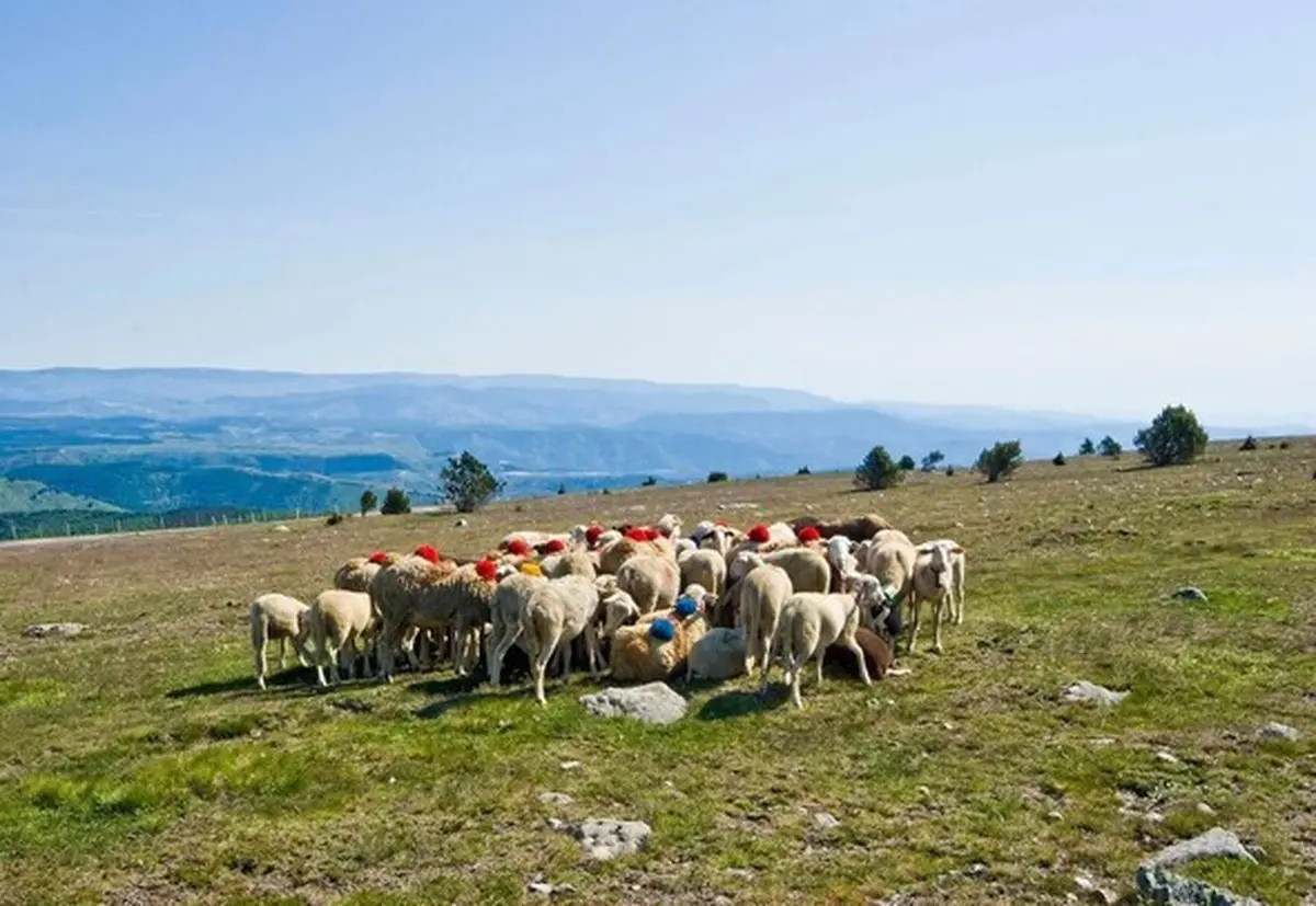 Rencontres Pastorales