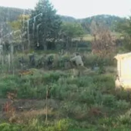 Rencontres Terra Nostra : Comme D'Ici Au Pommier