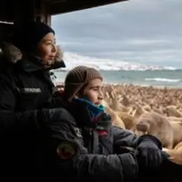 Rencontres Terra Nostra : Haulout