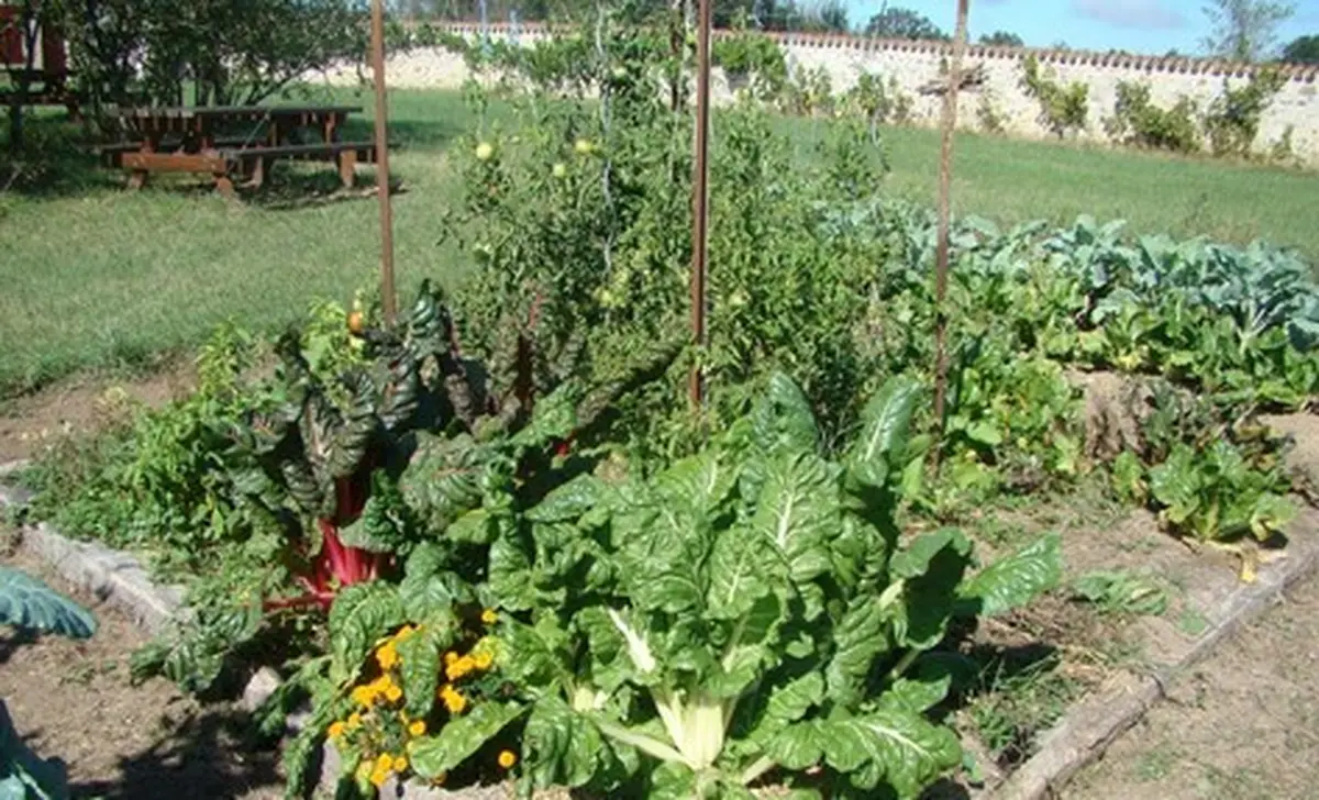 Rendez vous à l'Ecomusée pour une animation jardin au naturel sur le site de Juillé