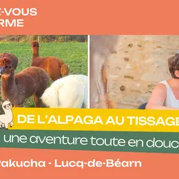 Rendez-vous à la ferme : De l'alpaga au tissage