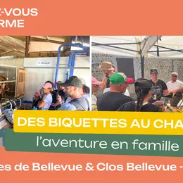 Rendez-vous à la ferme : Des biquettes au chai