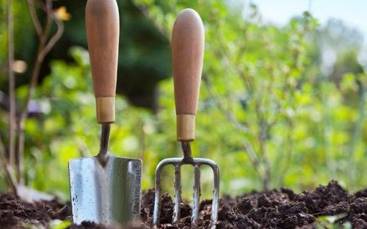 Rendez-vous au jardin