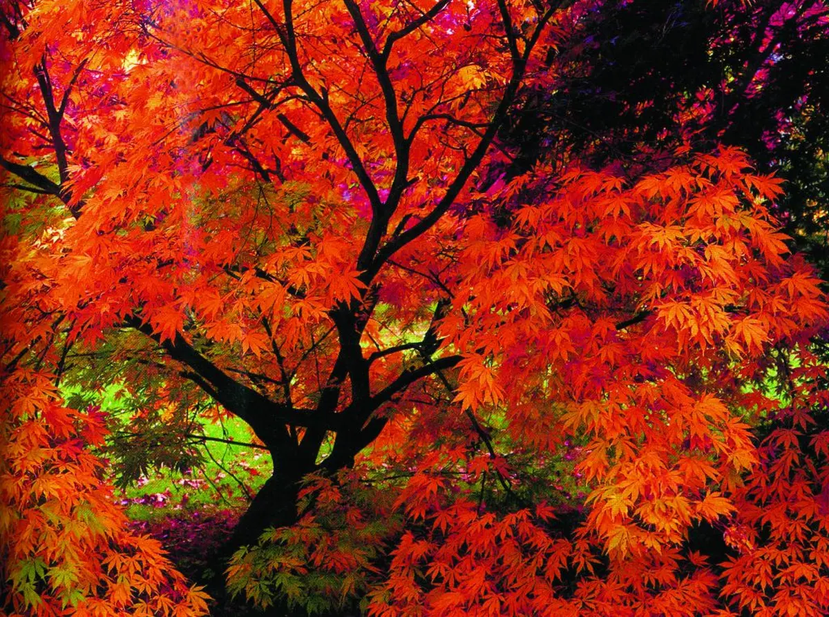 Rendez-vous au jardin