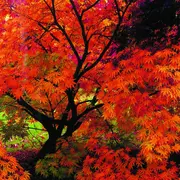 Rendez-vous au jardin