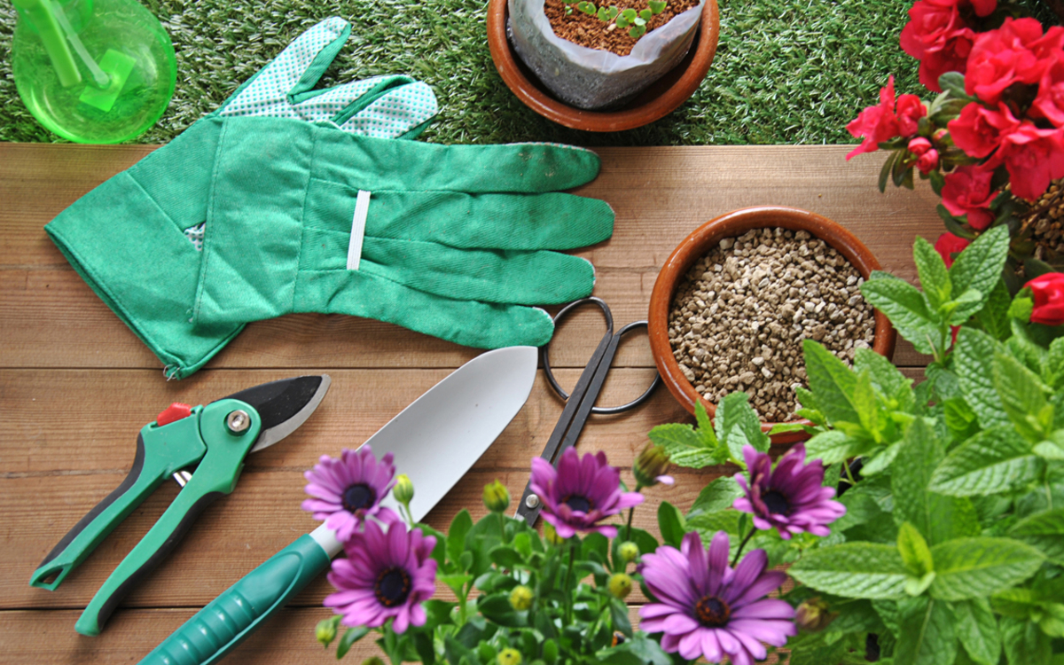 Outils de jardinage