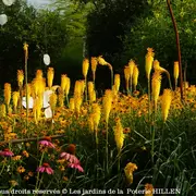 Rendez-Vous Au Jardin