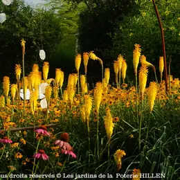 Rendez-Vous Au Jardin