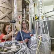 Rendez-vous au jardin des roses